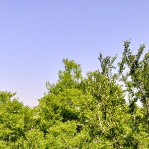 Meet your Posher, Ruth